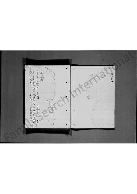 广东文氏族谱-宝安县文氏族谱.pdf电子版预览图5