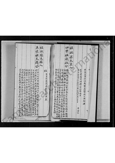 广东伍氏族谱-伍氏九族家谱.pdf电子版预览图5