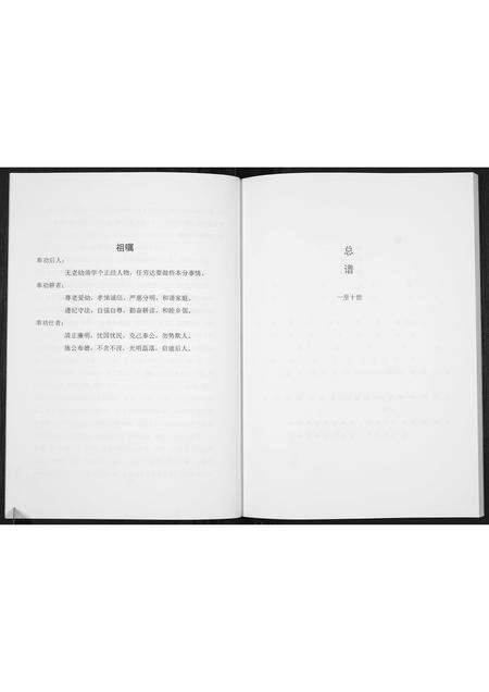 河南席氏族谱-席士能家族宗谱[不分卷].pdf电子版预览图5