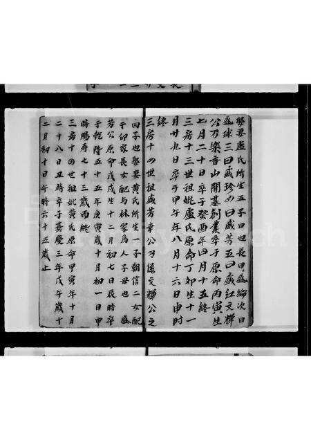 广东幸氏族谱-幸家传族谱.pdf电子版预览图5