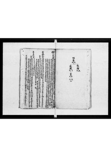 广东徐氏族谱-东海徐氏谱畧 [不分卷].pdf电子版预览图5