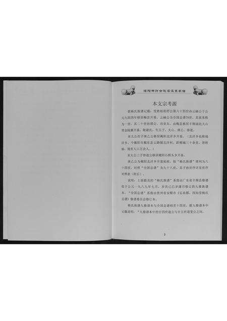 广东杨氏族谱-揭阳杨财合达濠派系家谱[不分卷].pdf电子版预览图5