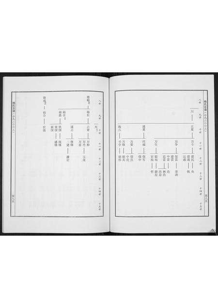 河南杨氏族谱-杨氏宗谱[不分卷].pdf电子版预览图5
