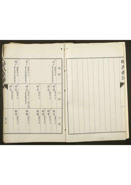 河南杨氏族谱-杨氏族谱.pdf电子版预览图5