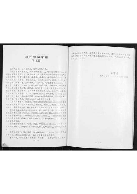 河南杨氏族谱-杨珍宗族世系家牒.pdf电子版预览图5