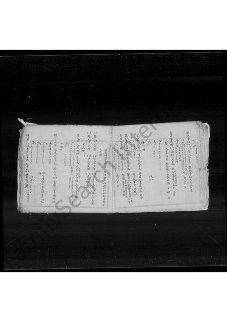 广东、福建叶氏族谱-[佛岭]叶氏族谱.pdf电子版预览图5