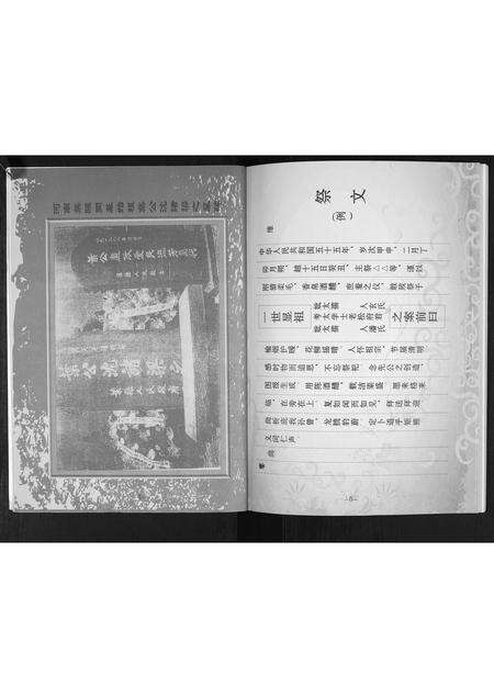 河南叶氏族谱-林内叶氏[不分卷].pdf电子版预览图5