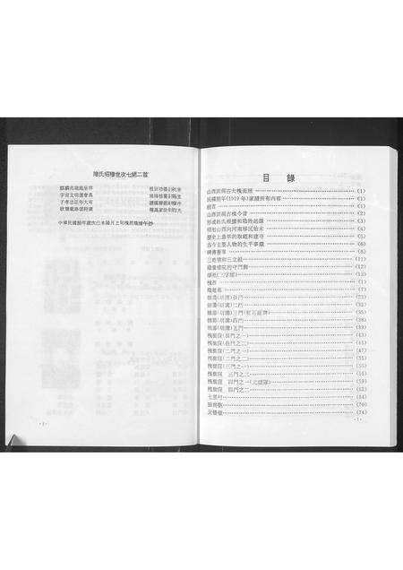 河南阴氏族谱-阴氏族谱.pdf电子版预览图5