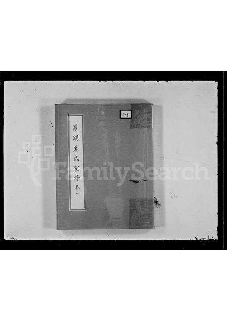 广东袁氏族谱-罗湖袁氏家谱.pdf电子版预览图5