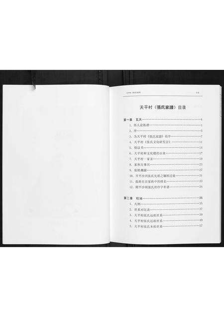 广东张氏族谱-张氏家谱.pdf电子版预览图5