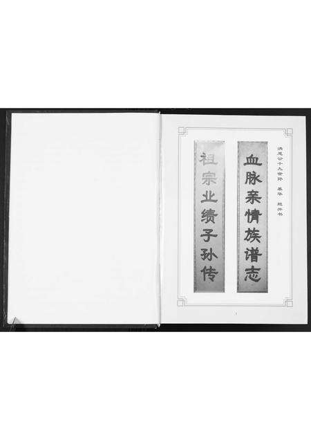 广东张氏族谱-桂岭张氏族谱.pdf电子版预览图5