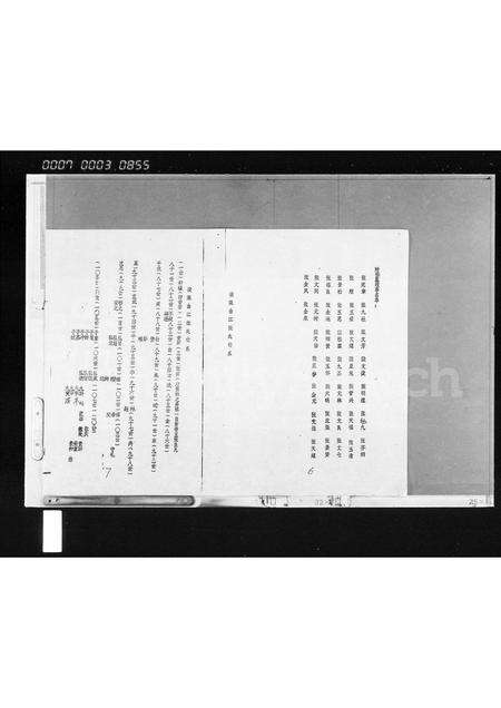 广东、福建张氏族谱-莆田黄石横塘村张氏家族分支概况表.pdf电子版预览图5