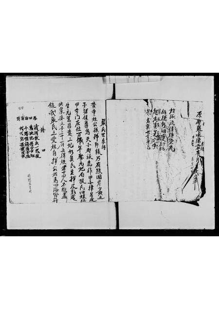 广东张氏族谱-张家系族谱.pdf电子版预览图5