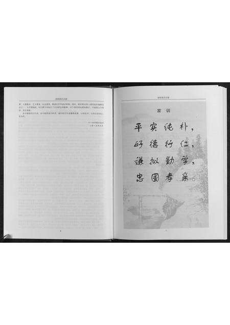 河南张氏族谱-张氏宗谱.pdf电子版预览图5