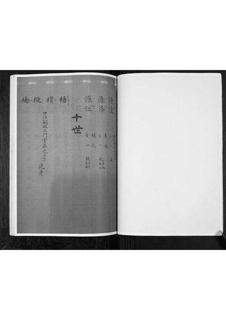 河南张氏族谱-张氏家谱.pdf电子版预览图5