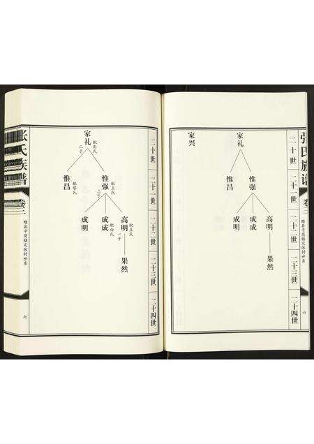 河南张氏族谱-张氏族谱.pdf电子版预览图5