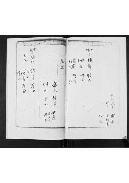 河南张氏族谱-张氏族谱[5卷].pdf电子版预览图5