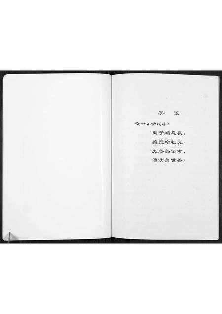 河南张氏族谱-赵寨张氏祖祠纪事.pdf电子版预览图5