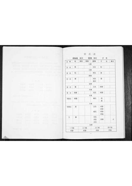 河南赵氏族谱-赵氏家谱.pdf电子版预览图5