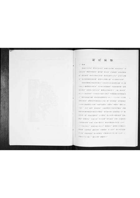 河南赵氏族谱-赵氏家谱[不分卷].pdf电子版预览图5