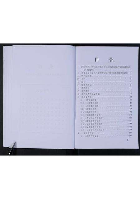 河南戴氏族谱-鹿邑淮阳戴氏族谱.pdf电子版预览图5