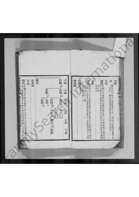 广东单氏族谱-岭南单氏十修族谱 [残卷].pdf电子版预览图5