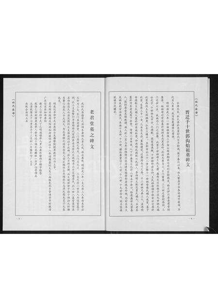 河南杜氏族谱-郭沟杜氏家谱.pdf电子版预览图5