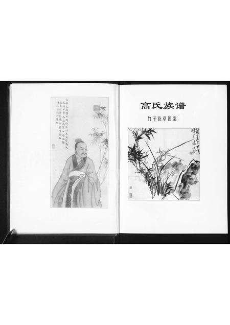 河南高氏族谱-高氏家族谱 _ 豫东南高氏家族支系部分 [残1卷].pdf电子版预览图5