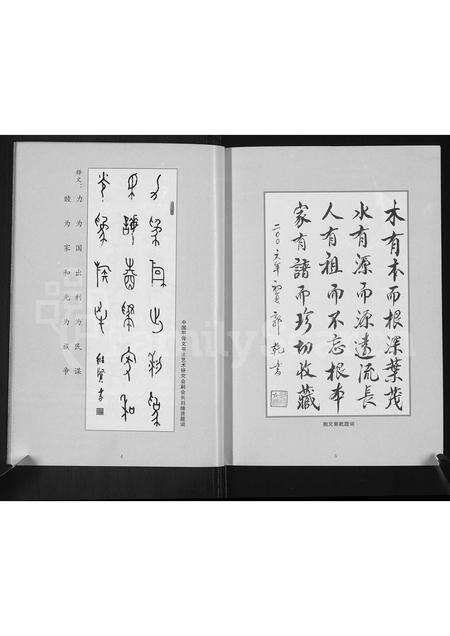 河南郭氏族谱-长垣县小务口村郭氏家谱(颜亨公支系).pdf电子版预览图5