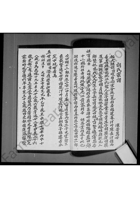 广东胡氏族谱-[新界马鞍岗]胡氏族谱.pdf电子版预览图5