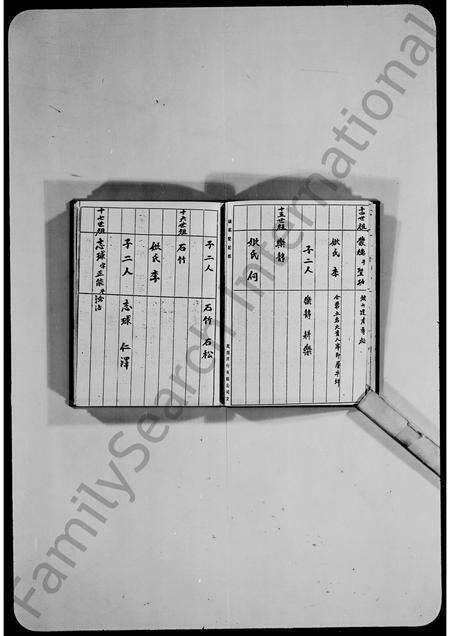 广东胡氏族谱-胡氏族谱.pdf电子版预览图5