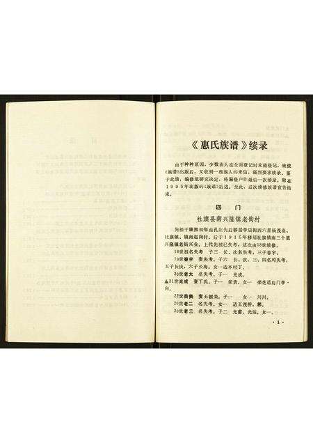 河南惠氏族谱-惠氏族谱续录 [不分卷].pdf电子版预览图5