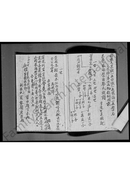 广东黎氏族谱-[东莞凤涌学右]黎氏族谱 _ 黎德献公房.pdf电子版预览图5