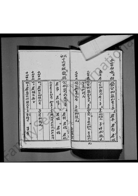 广东李氏族谱-[宝安县乌蛟腾明芳公所传] _ 李氏族谱.pdf电子版预览图5