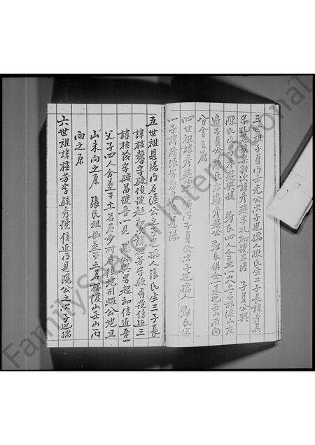 广东林氏族谱-屏山乡石埔村[林氏]族谱 [不分卷].pdf电子版预览图5