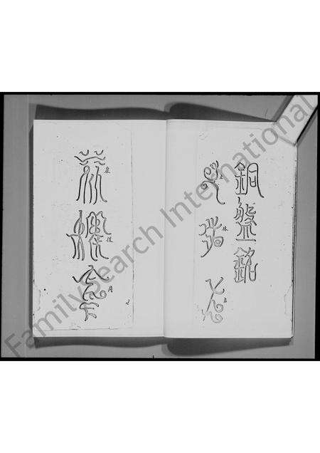 广东林氏族谱-[新界大埔坑吓蒲村]林氏族谱.pdf电子版预览图5