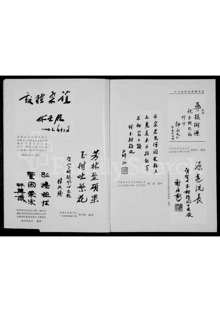 广东林氏族谱-玉树扬风 = An Everlasting Jade tree _ The past and present of the Lin clan in  Chaoshan area.pdf电子版预览图5