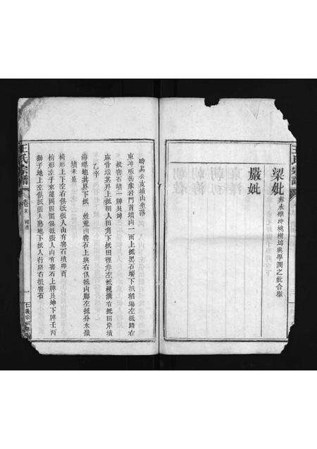 河南、安徽王氏族谱-王氏宗谱 [8卷,首末各1卷].pdf电子版预览图5