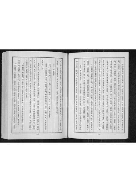 河南王氏族谱-王氏族谱 _ 长垣县蒲西区菜北村.pdf电子版预览图5