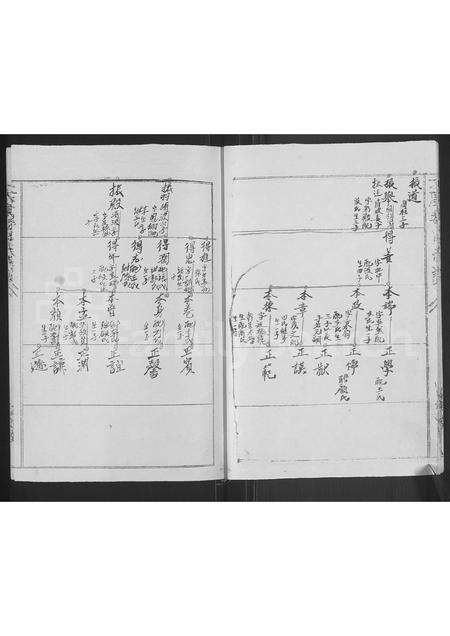 河南魏氏族谱-魏氏族谱 _ 河南省太康县 [再续1卷].pdf电子版预览图5