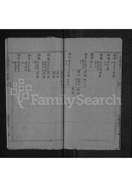 河南魏氏族谱-魏氏族谱 _ 河南省太康县 [存2卷].pdf电子版预览图5