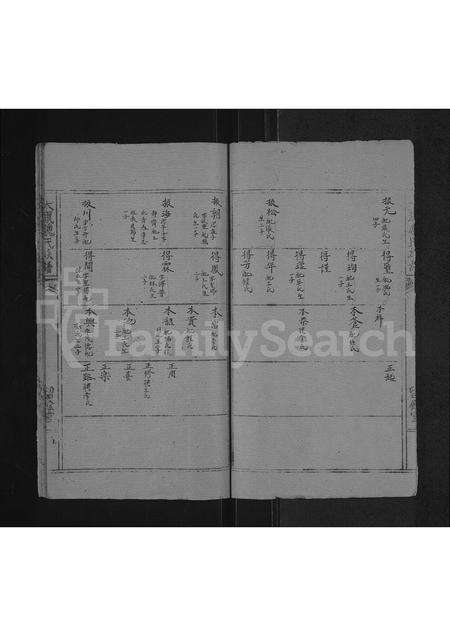 河南魏氏族谱-魏氏族谱 _ 河南省太康县 [存2卷].pdf电子版预览图5