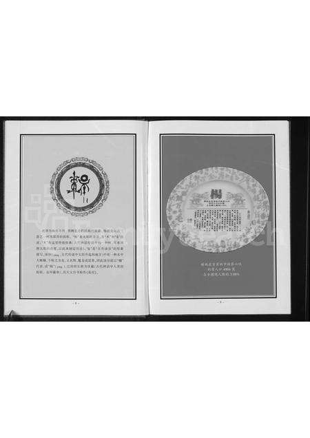 河南杨氏族谱-杨氏家谱 _ 沁阳窑头.pdf电子版预览图5