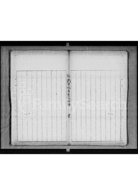 广东叶氏族谱-新会紫坭房叶氏族谱.pdf电子版预览图5