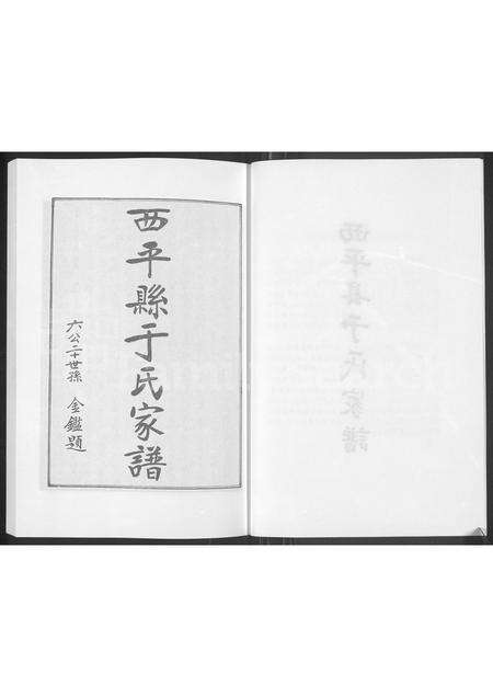 河南于氏族谱-西平县于氏家谱.pdf电子版预览图5