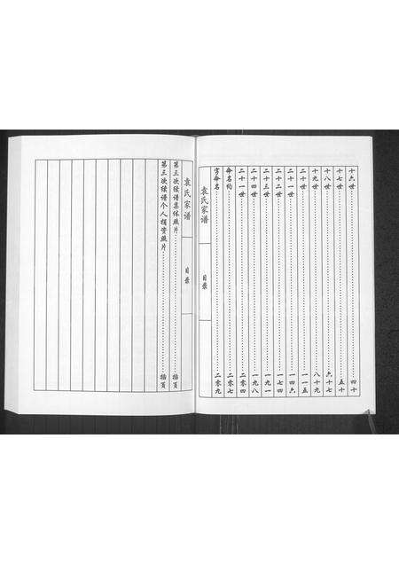 河南袁氏族谱-袁氏族谱.pdf电子版预览图5