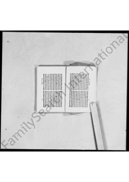 河南袁氏族谱-洹上私乘 _ 袁世凯家谱 [7卷].pdf电子版预览图5