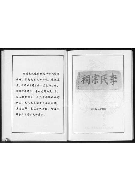 河南李氏族谱-李氏宗谱 _ 李氏,李大畈支系.pdf电子版预览图5