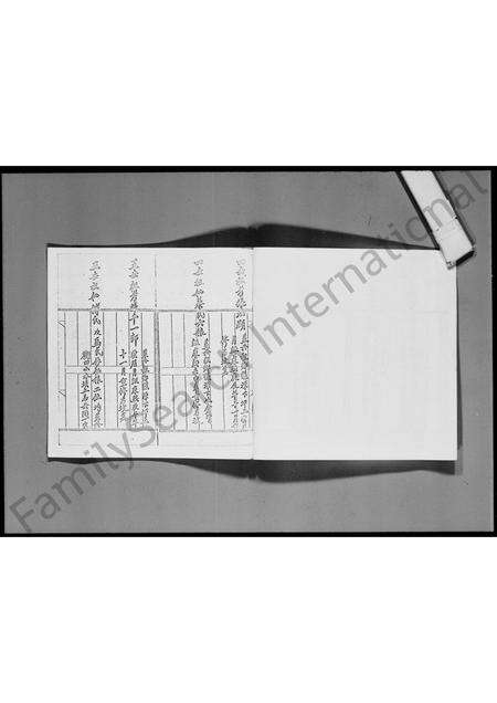 广东张氏族谱-族符流传.pdf电子版预览图5