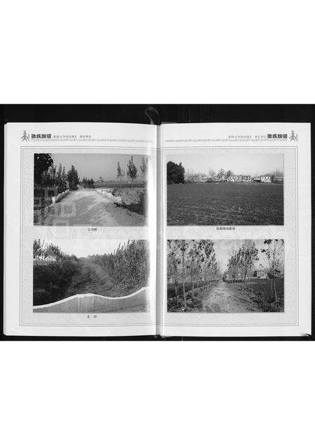 河南张氏族谱-张氏族谱 _ 河南省夏邑县济阳镇张阁村.pdf电子版预览图5